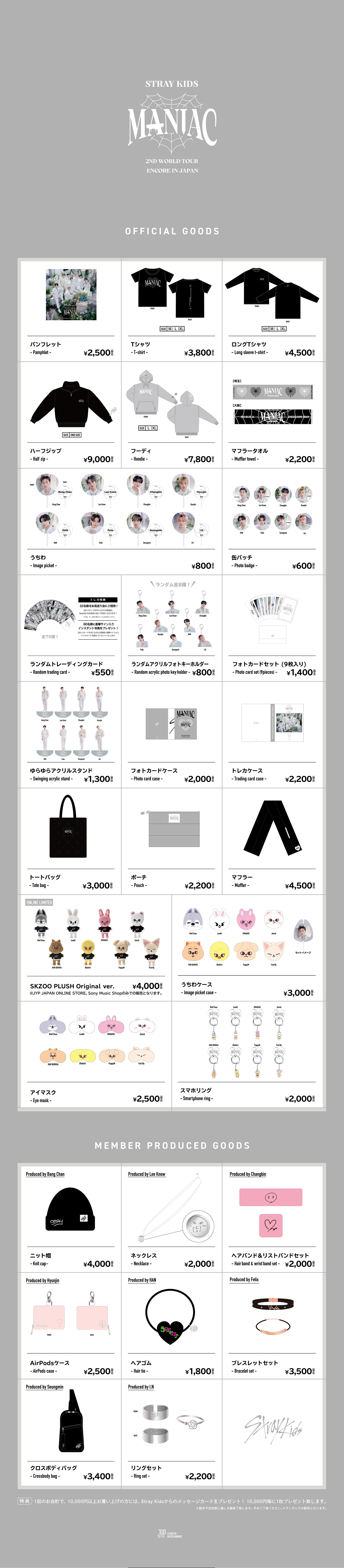 Stray Kids Dome Tour グッズ ハン プロデュース バッグ
